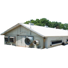 Low cost prefab steel structure commercial chicken poultry farming business house